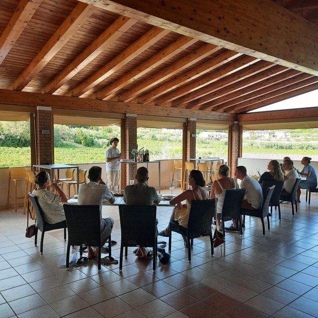 Bardolino: Vineyard Tour with Wine, Olive Oil & Food Tasting - A family winery above Bardolino
