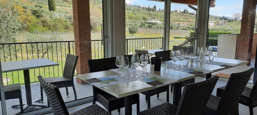 Bardolino: Vineyard Tour with Wine, Olive Oil & Food Tasting - Is $42 a fair price?