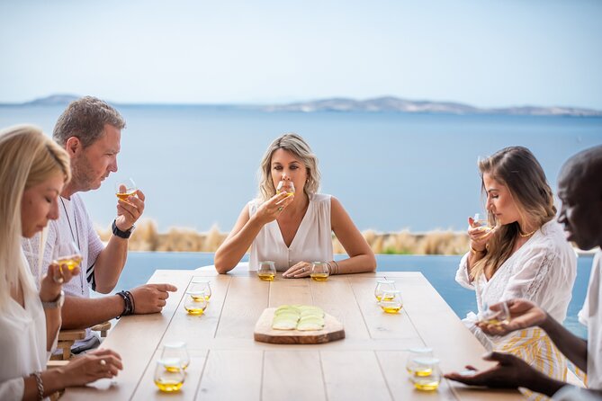 Best Mykonos Olive Oil Tasting - Learn from a world-famous Expert - Arriving at Agios Ioannis