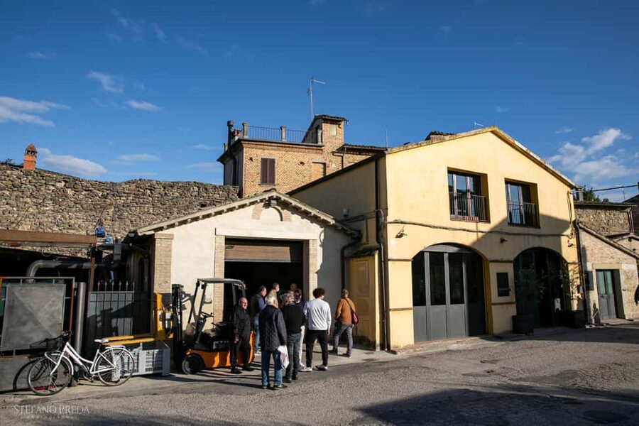 Bevagna: Olive Oil Mill Tour with Guided Tasting - What the $28 price really buys