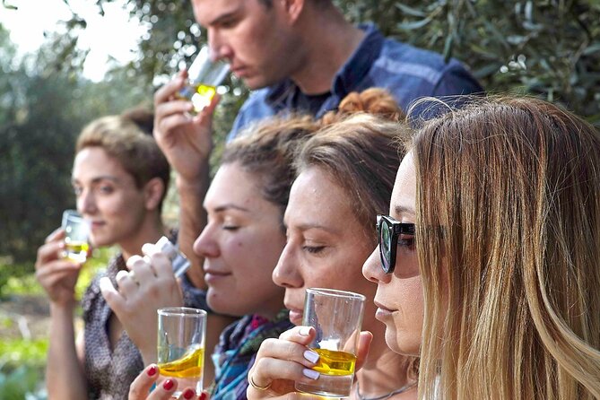 Bio Farm Private Olive Oil Tasting, Farm to Fork Meal & Temple of Poseidon Tour - From Athens streets to a working farm in Vari