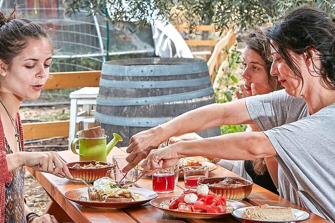 Bio Farm Private Olive Oil Tasting, Farm to Fork Meal & Temple of Poseidon Tour - Chicken tractors, worms, and a pond full of purpose