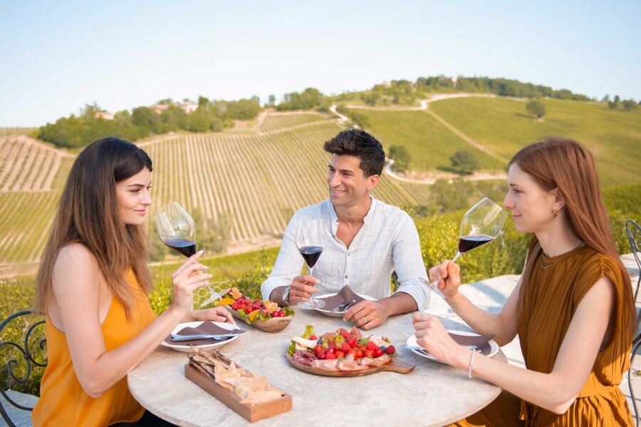 Bologna: Olive Grove and Vineyard Tour with Product Tastings - What the 1 to 1.5-hour visit feels like