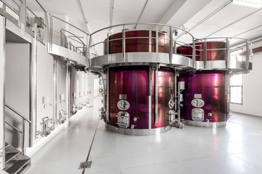 Bologna: Olive Grove and Vineyard Tour with Product Tastings - Why the olive oil option is worth choosing