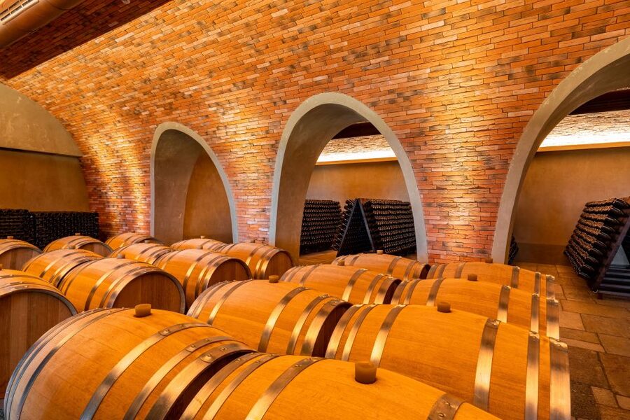 Bologna: Olive Grove and Vineyard Tour with Product Tastings - Local food and the wider farm pantry