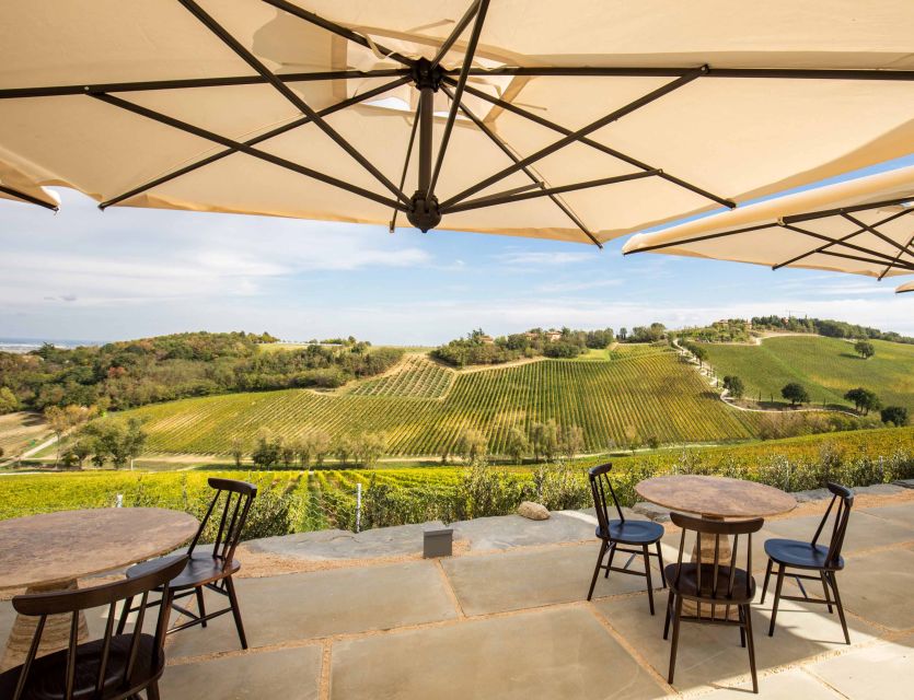 Bologna: Olive Grove and Vineyard Tour with Product Tastings - The restored buildings and production setting