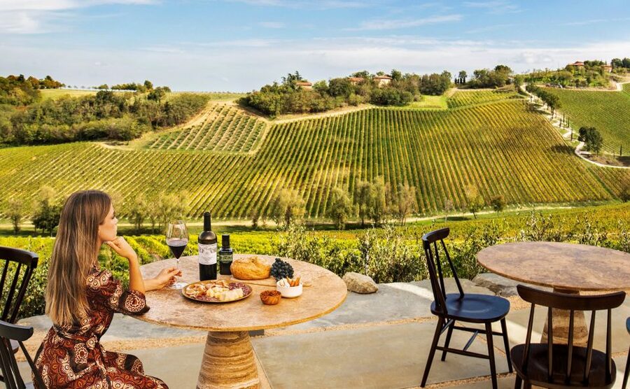 Bologna: Olive Grove and Vineyard Tour with Product Tastings - The best way to plan your visit