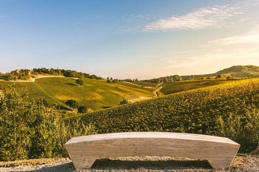 Bologna: Olive Grove and Vineyard Tour with Product Tastings - Tasting Bologna wines with a guide