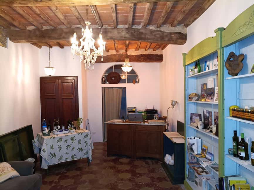 Buti: Olive Oil Ancient Mill Tour and Tasting Experience - What you learn about quality extra virgin olive oil