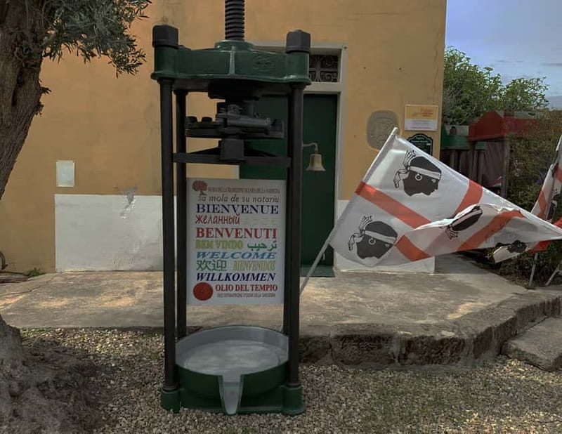 Cagliari Olive Oil Farm & Tasting (Since 1600, 20 Min Away) - Why this olive oil visit is different from a simple tasting