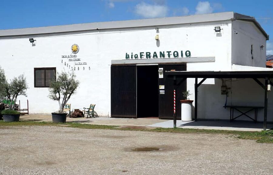 Cagliari Olive Oil Farm & Tasting (Since 1600, 20 Min Away) - Sa Mola de Su Notariu, Sardinia’s oil museum