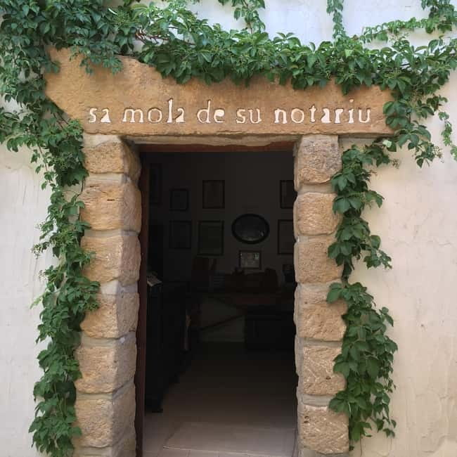 Cagliari Olive Oil Farm & Tasting (Since 1600, 20 Min Away) - What the 90-minute schedule feels like