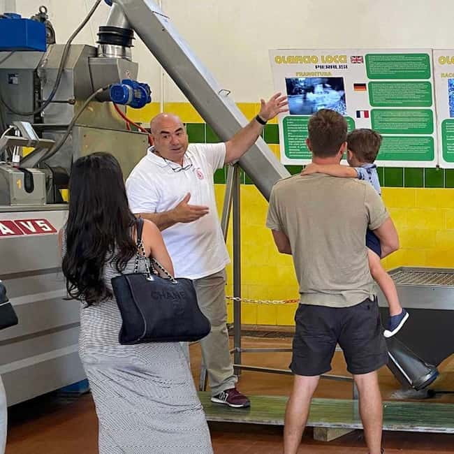 Cagliari Olive Oil Farm & Tasting (Since 1600, 20 Min Away) - Who should book this experience?