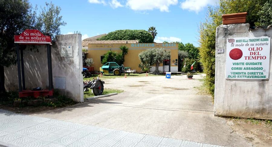 Cagliari Olive Oil Farm & Tasting (Since 1600, 20 Min Away) - The 17th-century mill and a living family business