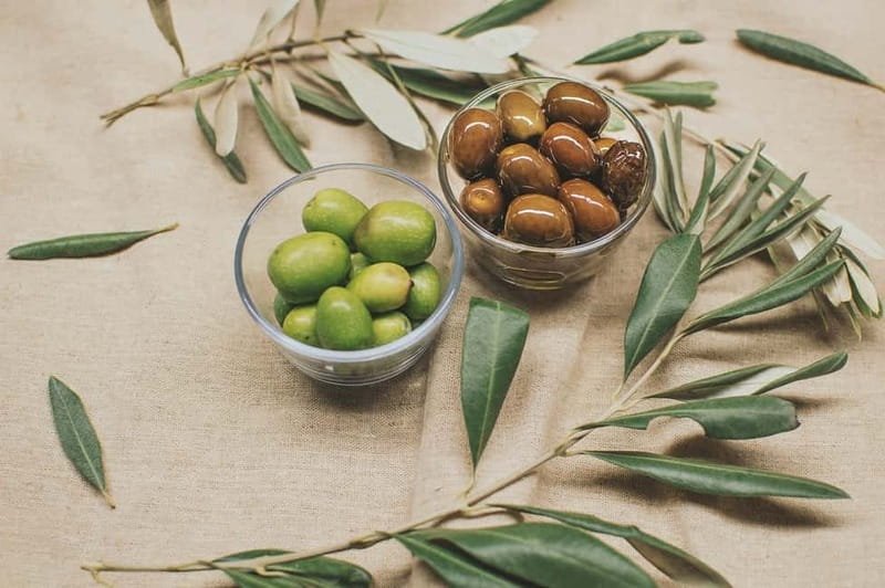 Cagliari: private tasting of fine extra virgin olive oil - Price, Cancellation, and Practical Value