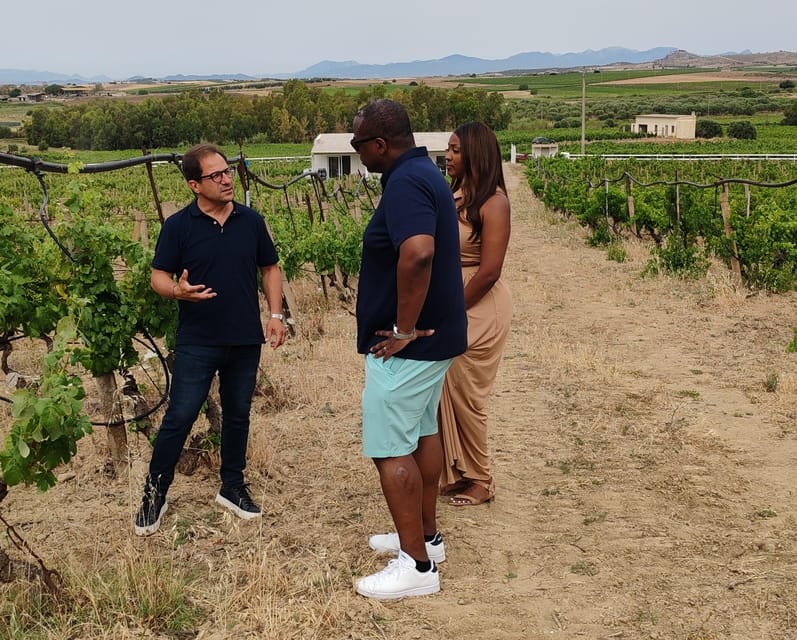 Cagliari: Wine and Olive oil Experience + Oil Mill Museum - Two Sardinian traditions in one four-hour visit