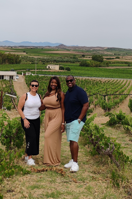 Cagliari: Wine and Olive oil Experience + Oil Mill Museum - Learning to taste olive oil at the mill