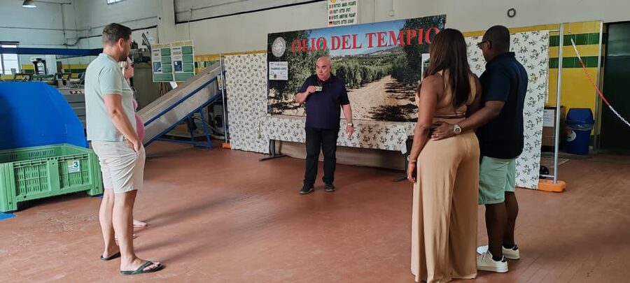 Cagliari: Wine and Olive oil Experience + Oil Mill Museum - The late-1800s tools in the oil museum