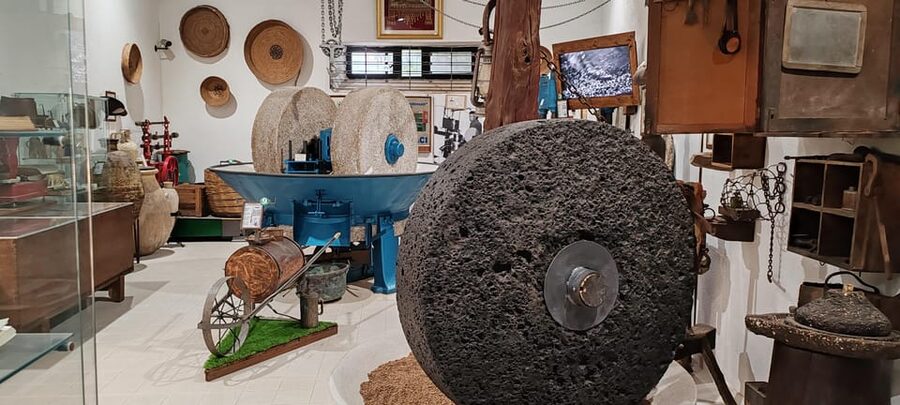 Cagliari: Wine and Olive oil Experience + Oil Mill Museum - What the $226.57 price buys you