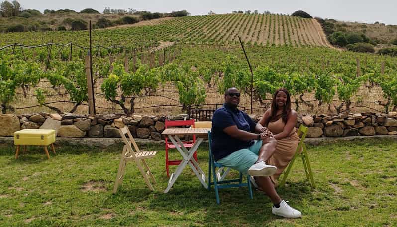Cagliari: Wine and Olive oil Experience + Oil Mill Museum - Should you book this Sardinian wine and oil tour?