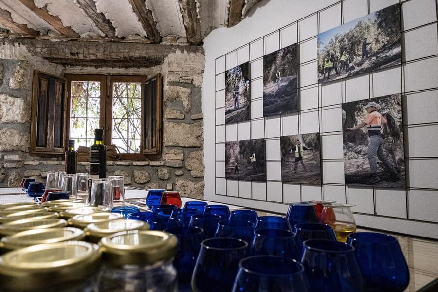 Cazorla: Highligts Tour with Olive Oil Tasting - Who will enjoy this Cazorla experience