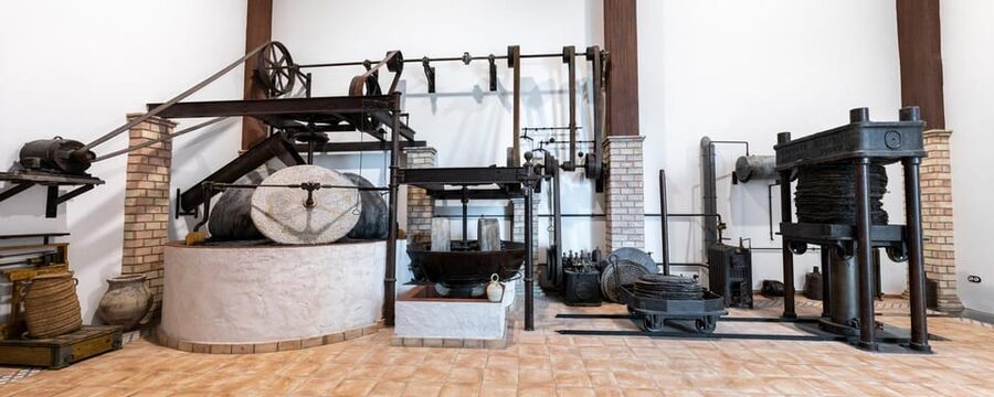 Cazorla: Oleotour - Olive Oil Culture Initiation - The 18th-century oil mill museum
