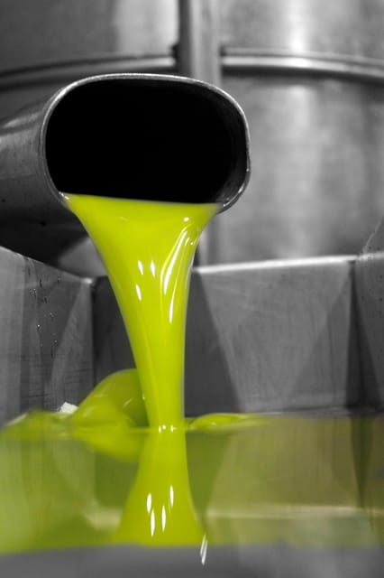 Cazorla: Oleotour - Olive Oil Culture Initiation - The audiovisual and artistic parts of the route