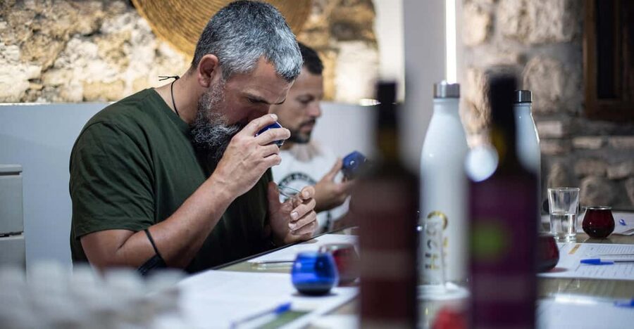 Cazorla: Olive grove and mill tour - What makes the guide important