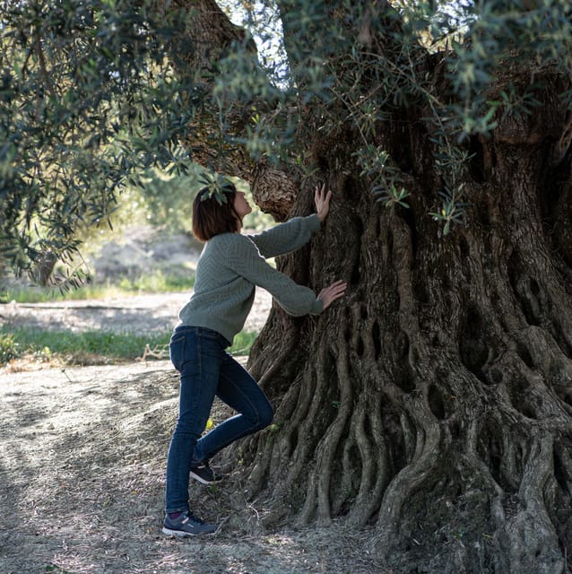 Cazorla: Olive grove and mill tour - Planning the day without surprises