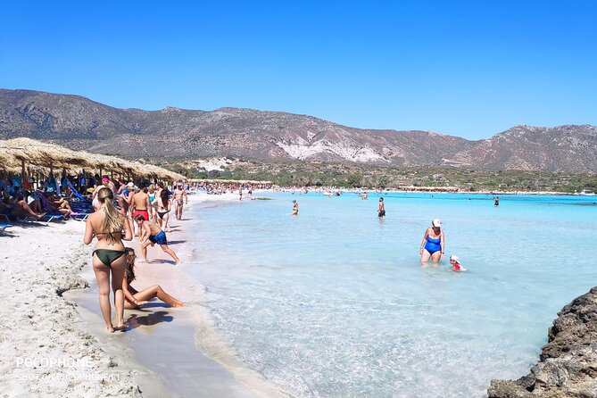 Chania: Elafonisi & Falasarna Private Tour w/olive oil tasting - Who should book this day
