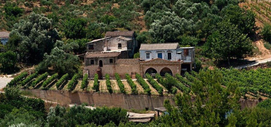 Chania: Milia Mountain Tour w/Lunch Olive Oil/Wine Tastings - Should you book it?