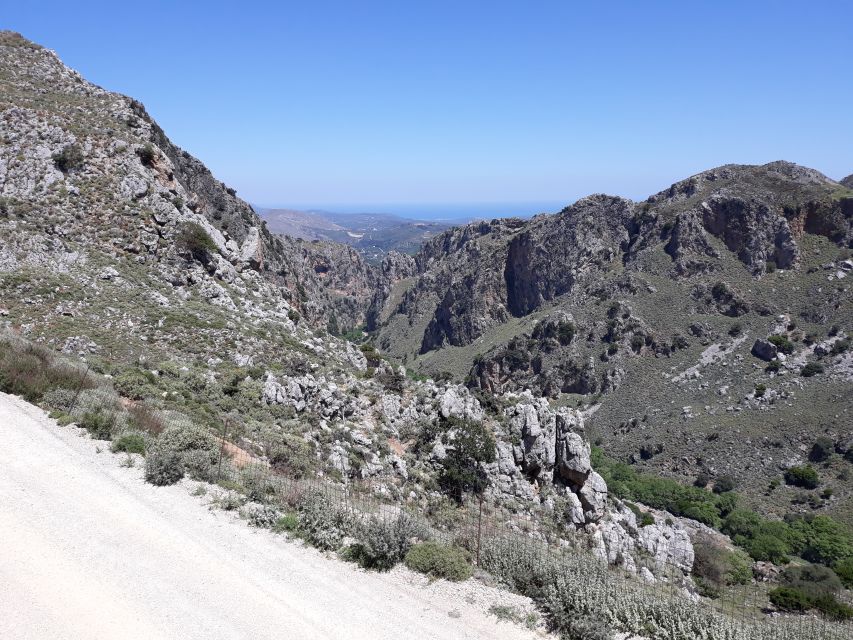 Chania: Milia Mountain Tour w/Lunch Olive Oil/Wine Tastings - Is the $176 price good value?