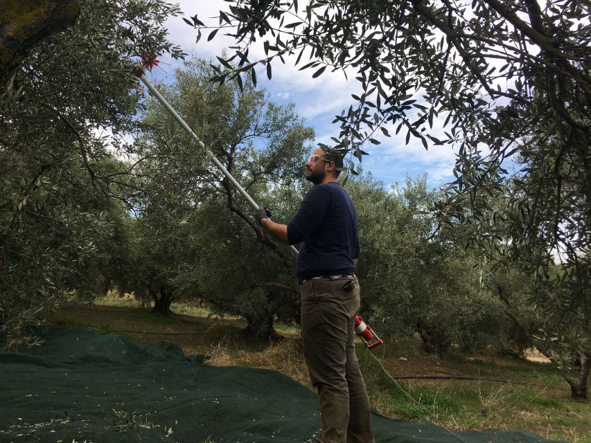 Chania Private Olive Oil Tour: Oil Tasting & Villages Tour - Coffee, rivers, and the villages of Apokoronas