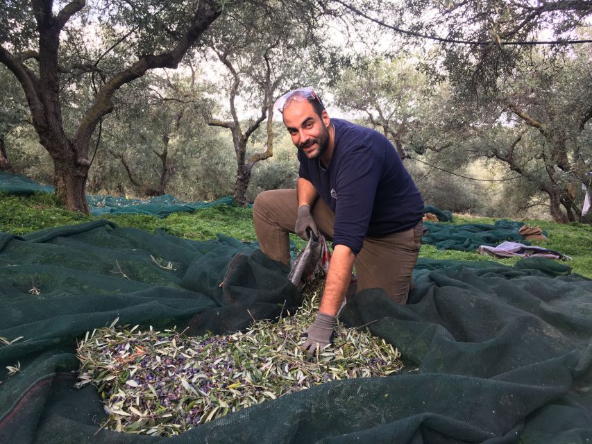 Chania Private Olive Oil Tour: Oil Tasting & Villages Tour - The possible 3,000-year-old olive tree
