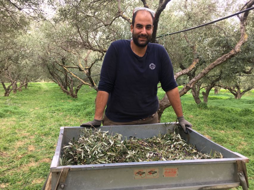 Chania Private Olive Oil Tour: Oil Tasting & Villages Tour - Modern machinery and the final olive oil tasting