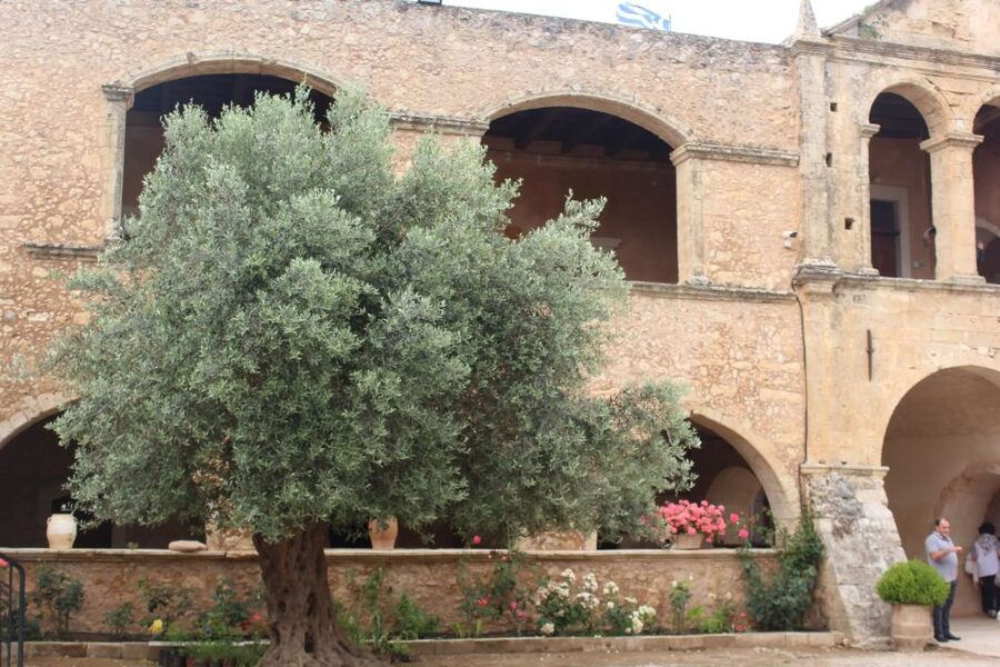 Chania Private Olive Oil Tour: Oil Tasting & Villages Tour - A high viewpoint puts Chania’s farming country in context