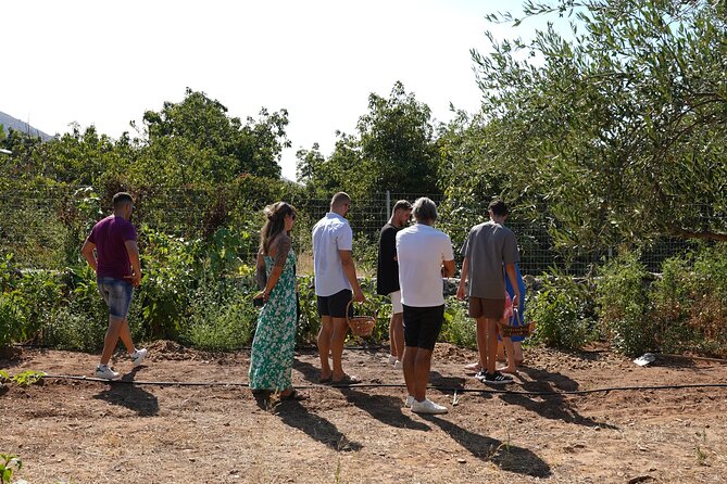 Chania Sourdough Bread Class - Olive Oil Tasting - The people who shape the experience