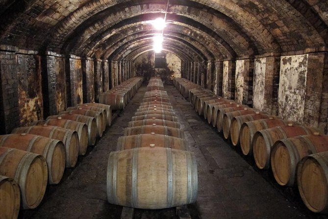 Chianti from Florence:PRIVATE Wine, Olive Oil Tasting in the Tuscan countryside - Leaving Florence at 9:15 a.m.