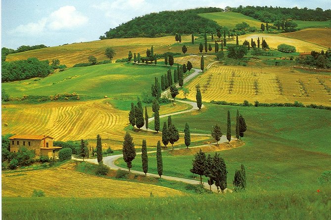 Chianti from Florence:PRIVATE Wine, Olive Oil Tasting in the Tuscan countryside - What the $368.12 price includes