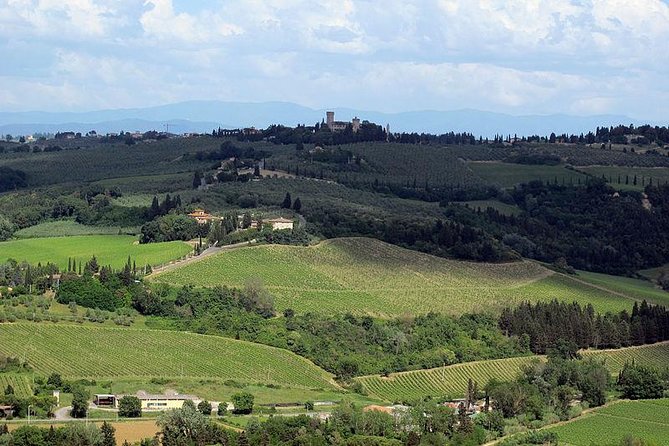 Chianti from Florence:PRIVATE Wine, Olive Oil Tasting in the Tuscan countryside - Who will enjoy this private Chianti day