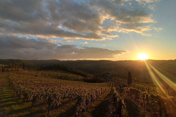 Chianti from Florence:PRIVATE Wine, Olive Oil Tasting in the Tuscan countryside - Should you book this Chianti tour?