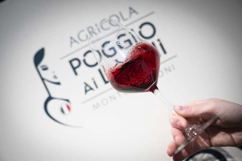 Chianti: Premium Wine, Olive Oil and Vinegar Tasting - The wine expert adds art and production details