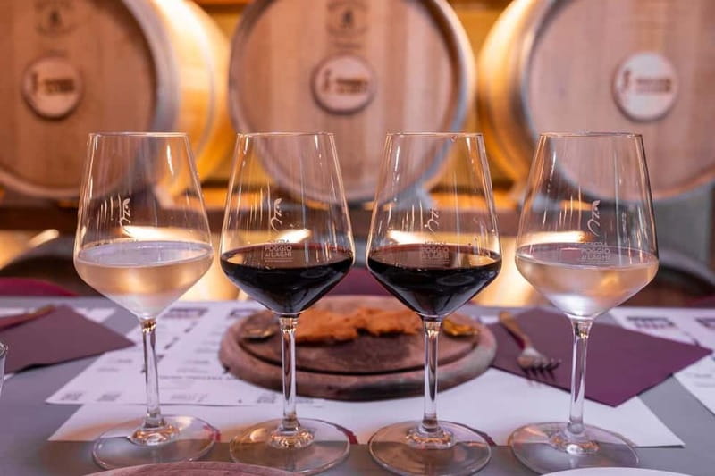 Chianti: Premium Wine, Olive Oil and Vinegar Tasting - Timing, access, and the practical details