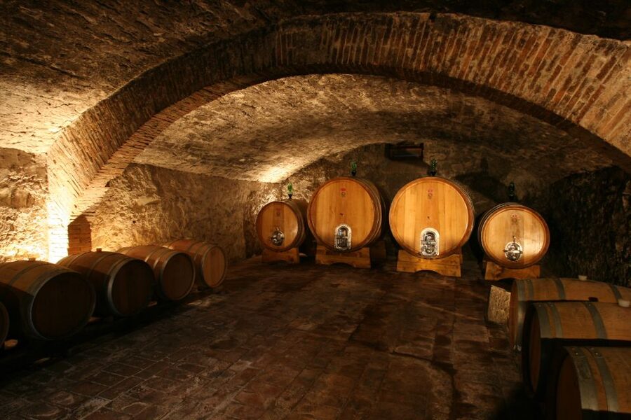 Chianti: Wine and Olive Oil Tasting with Cellar Tour - A working Tuscan farmhouse near Greve