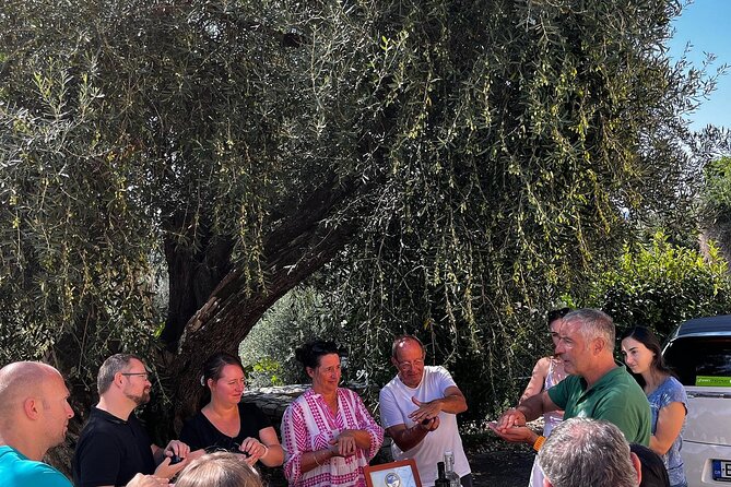 Cooking Classes and olive oil tasting.The real taste of Greece! - The olive grove and the old press