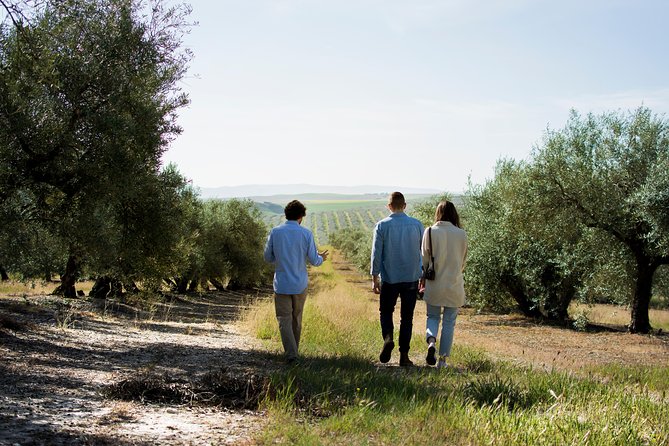Cordoba Olive Oil mill, Wine, Passion - Key points to know before booking