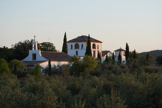 Cordoba Olive Oil mill, Wine, Passion - Inside a working olive oil production facility