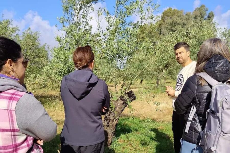 Córdoba: Visit a family organic olive grove with tasting - Key points at a glance