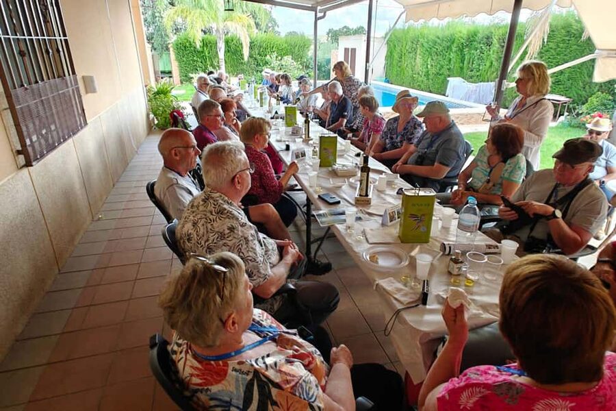 Córdoba: Visit a family organic olive grove with tasting - Walking through the organic grove