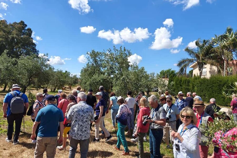 Córdoba: Visit a family organic olive grove with tasting - Arriving at Aceites Renacer